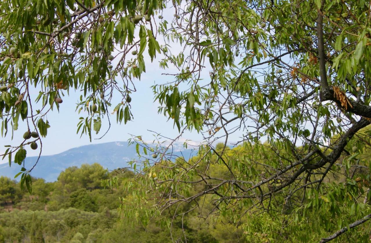 Mas De La Gonnette Villa Venasque Kültér fotó